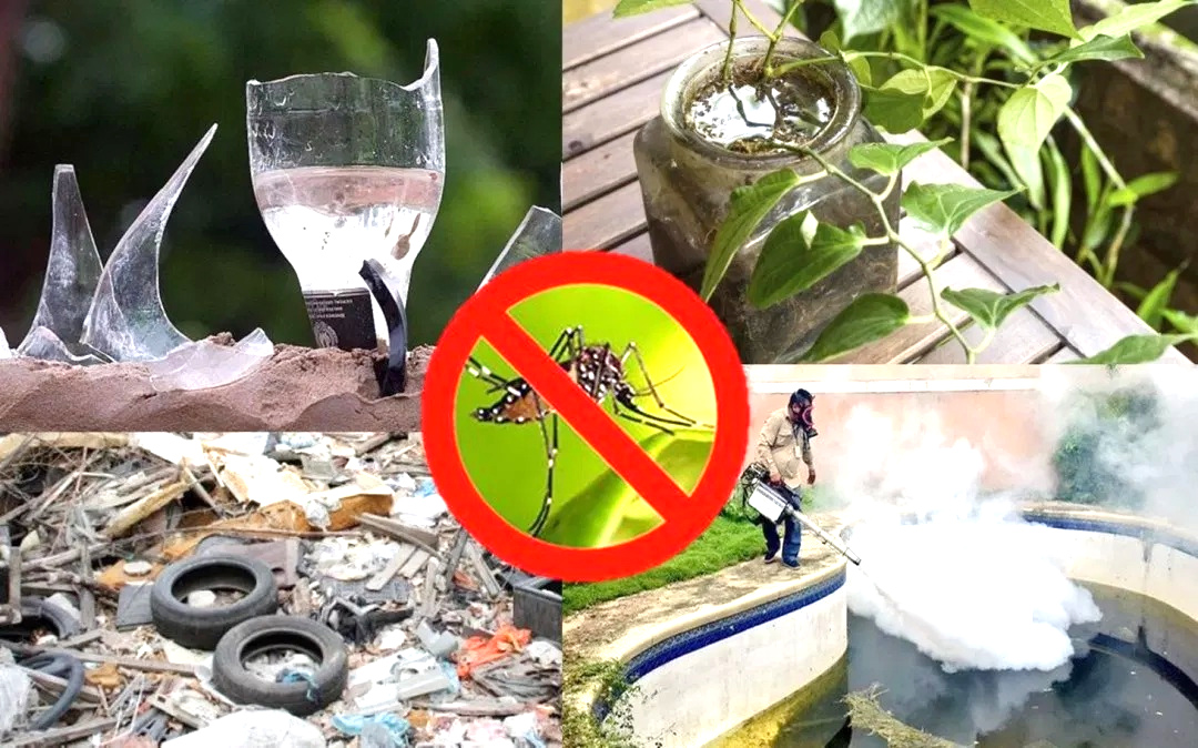  Eliminando criaderos de mosquitos evitamos la propagación de éstos