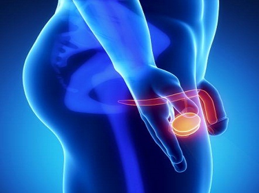 Sencillas medidas pueden ayudar al hombre a cuidar su próstata
