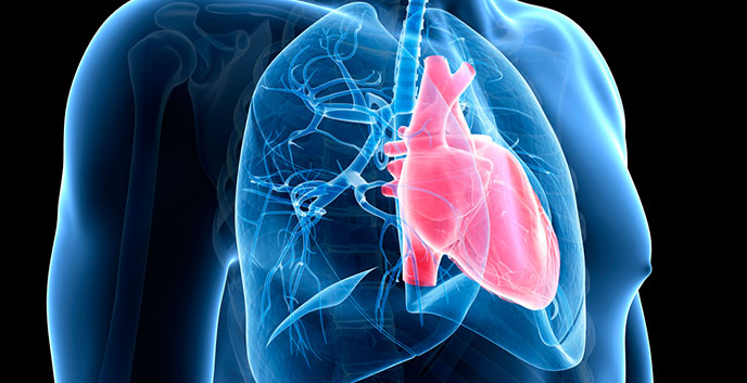 Conmemoran el Día latinoamericano de Hipertensión Pulmonar 