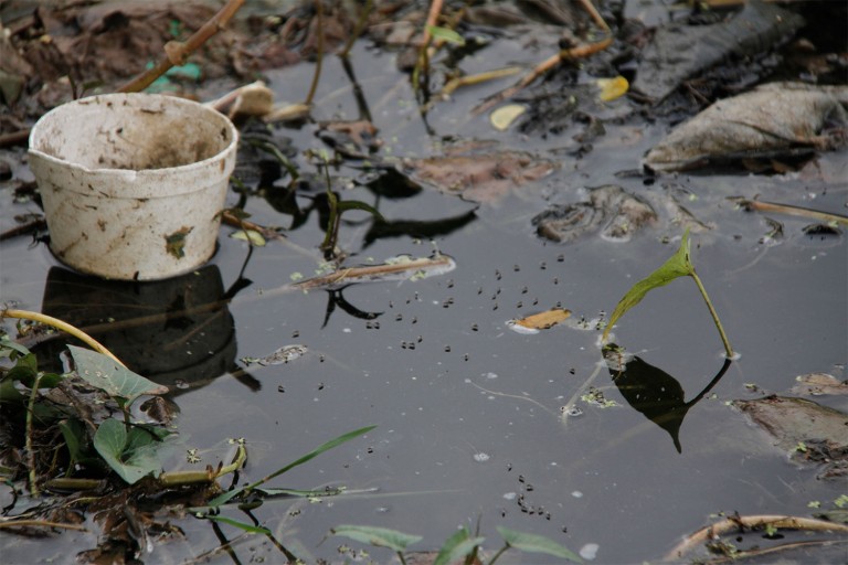  Precaución con las lluvias y los criaderos de mosquitos