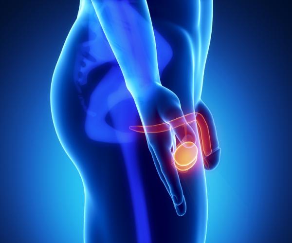 Problemas de próstata son la causa común de consultas en el servicio de urología