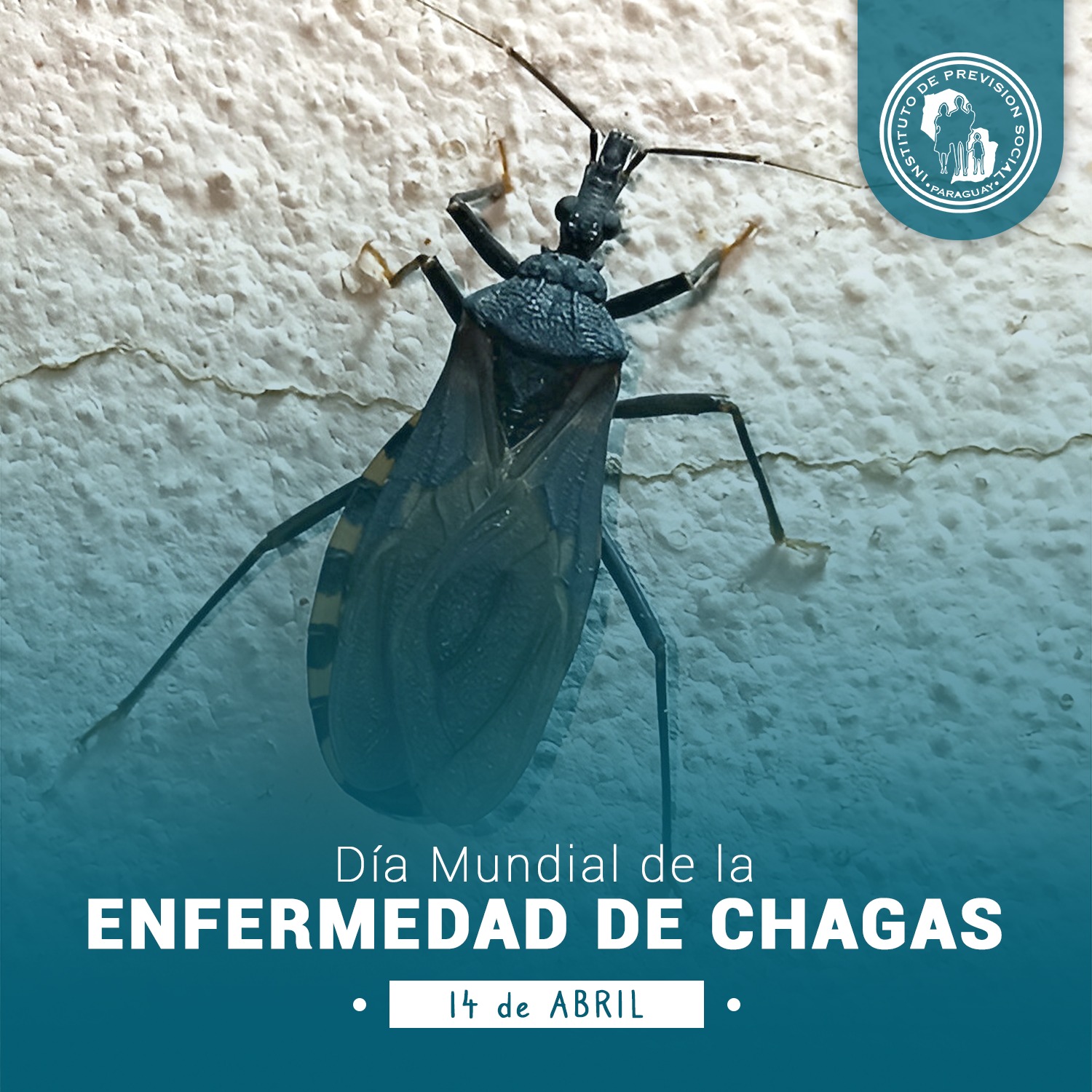 14 de abril, Día Mundial de la Enfermedad de Chagas