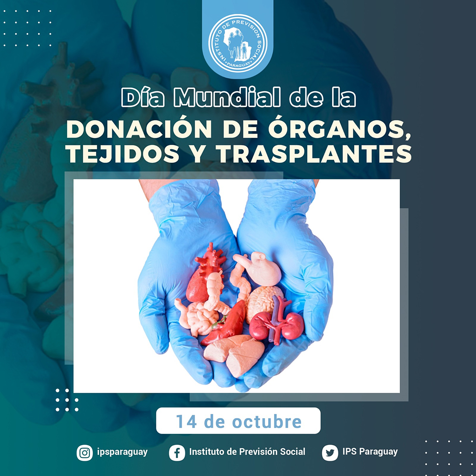 La donación de órganos y tejidos salva vidas