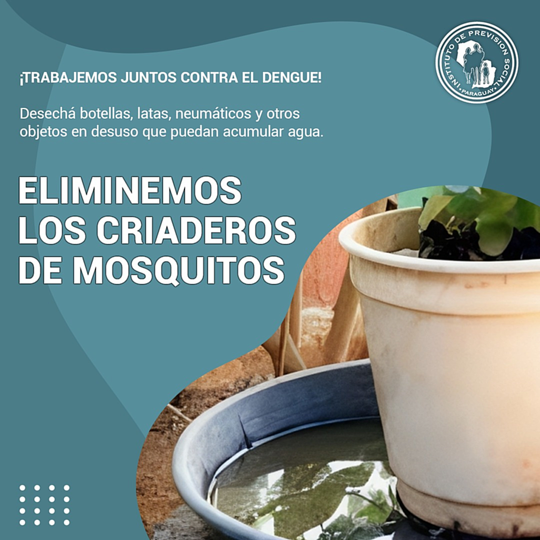 No bajar la guardia y mantener cuidados preventivos de eliminación de criaderos de mosquitos trasmisores de dengue