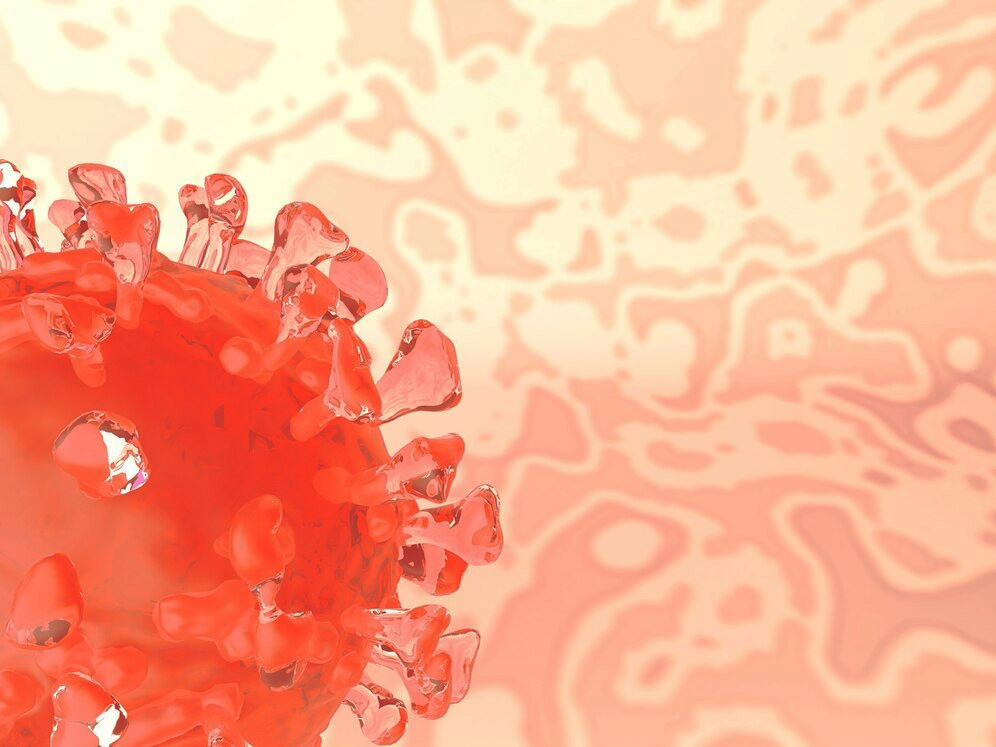 ¿Sabías que todos estuvimos expuestos al Virus del Papiloma Humano en algún momento de nuestras vidas? 