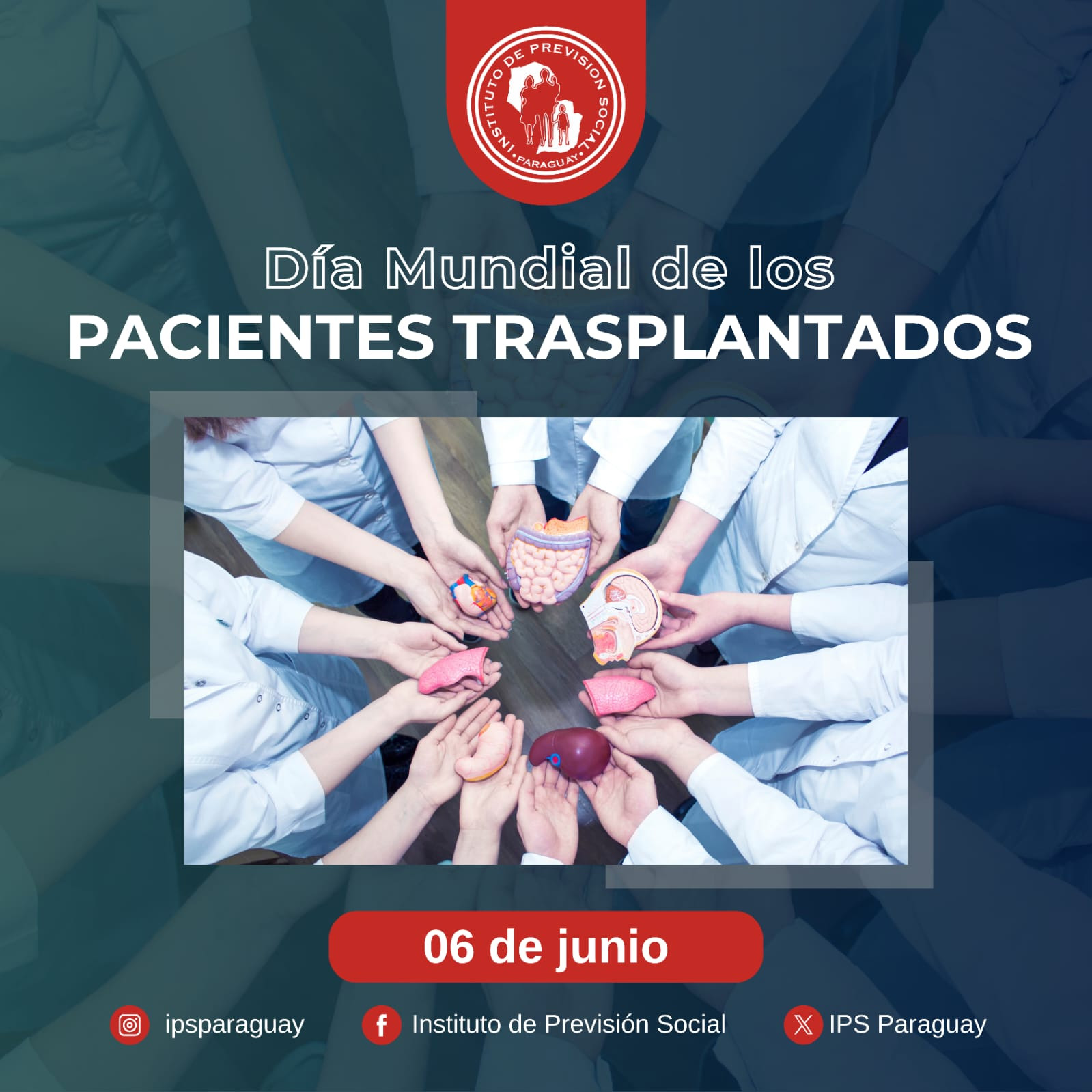 Día Mundial del Paciente Trasplantado: reconociendo el valor de la vida y la solidaridad