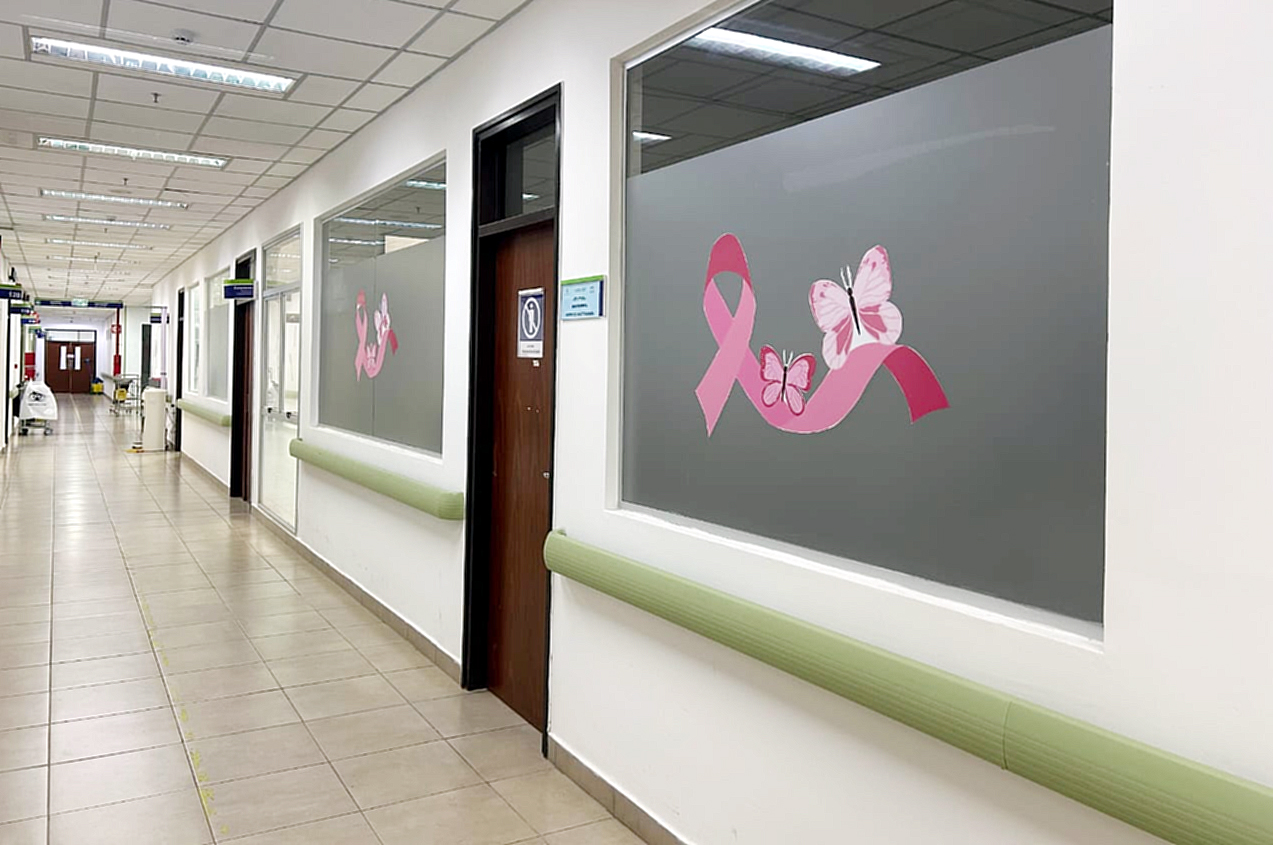 ¿Cómo vos  enfrentarías  a un diagnóstico de cáncer de mama?
