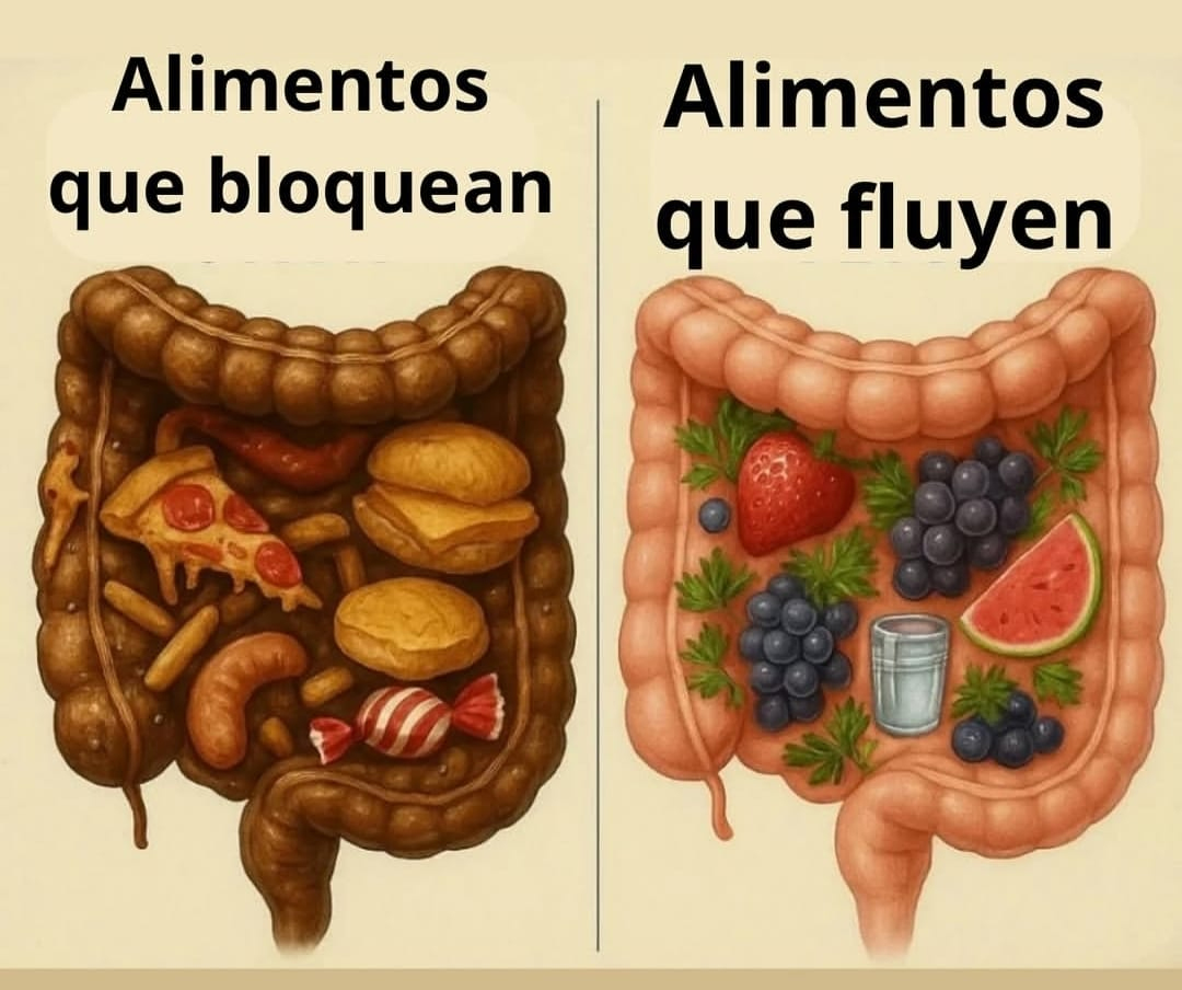 Cómo una buena alimentación puede salvar tu intestino