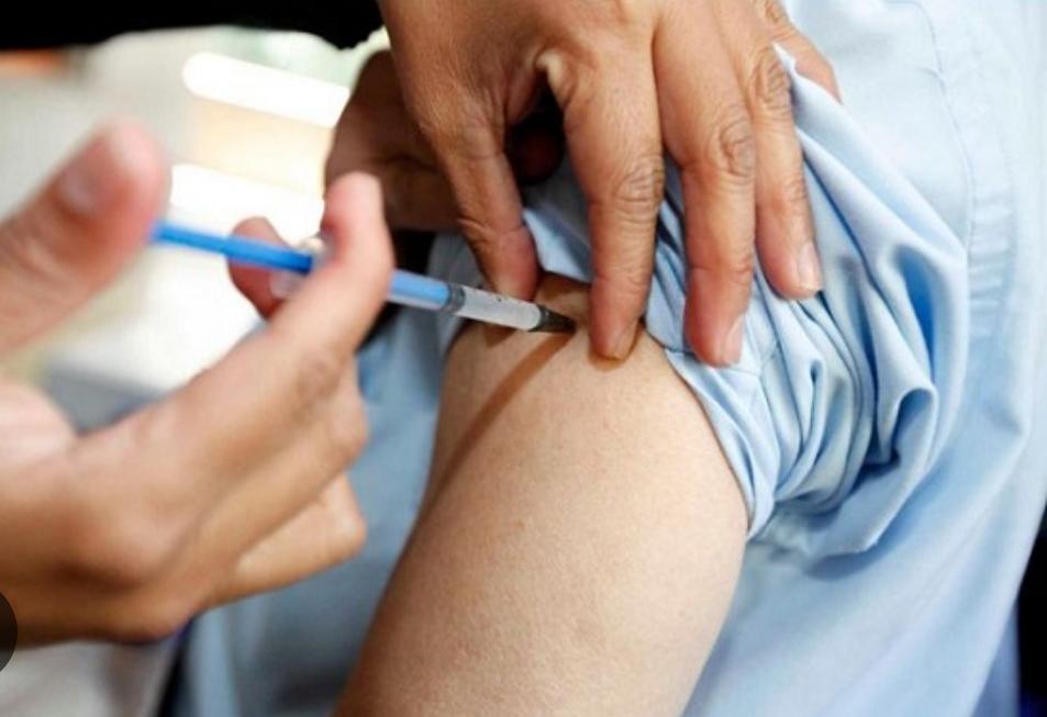 IPS impulsa compra de medicamentos de alta rotación y exige esclarecer causas del desabastecimiento