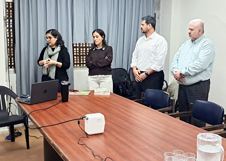 Análisis estructural para optimización organizacional de la Dirección Médica del Hospital Central