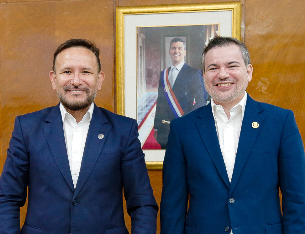 IPS y ANEAES inician trabajo conjunto para fortalecer la formación médica