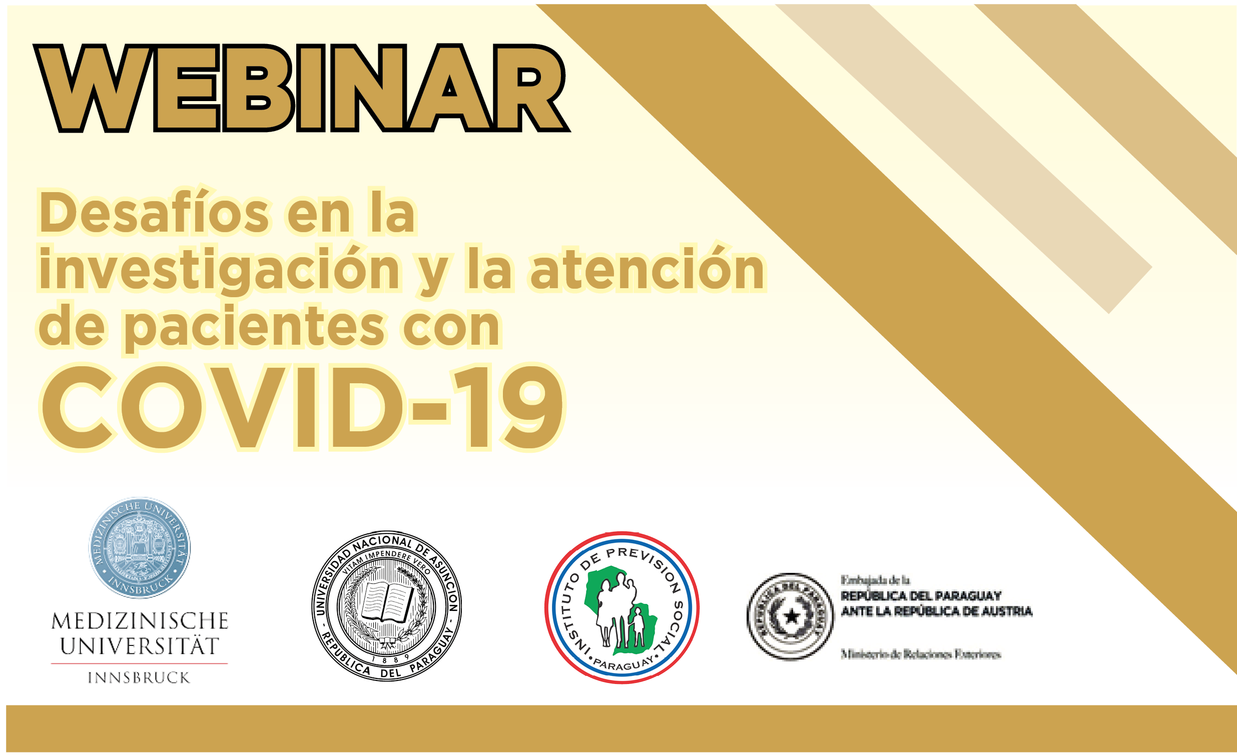 Intercambio de experiencia virtual para el tratamiento del Covid-19 en conjunto entre Paraguay-Austria