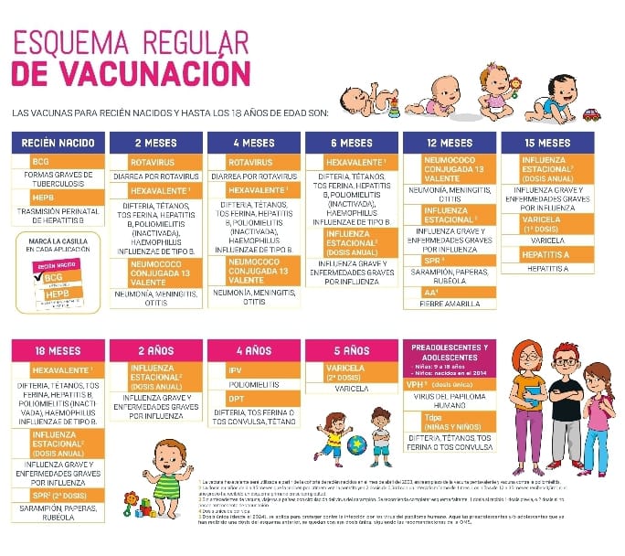 Meningitis especialmente frecuente en niños y personas inmunodeprimidas