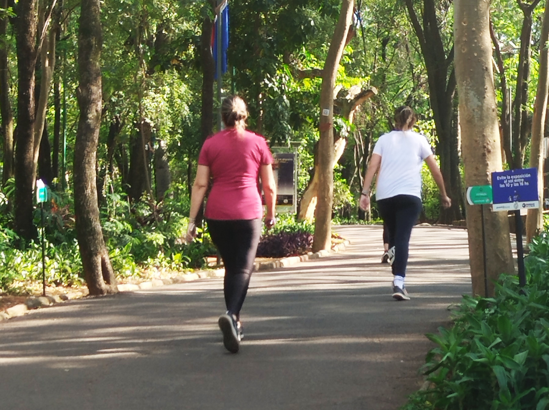 Actividad física: clave para la prevención y la calidad de vida en todas las edades
