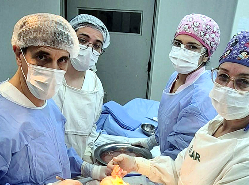 Trasplante renal Nº 12 perseverancia y trabajo en equipo que transforman vidas