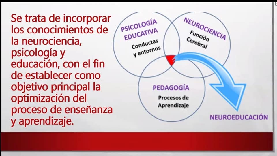 Instituto de Previsión Social (IPS) - Portal Paraguay