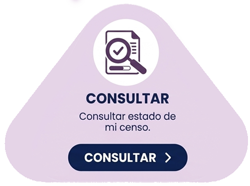 CONSULTAR CENSO